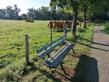 Kalte Wiese neue Bank