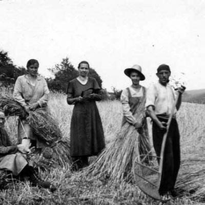 Db Ernte Im Sommer 19381
