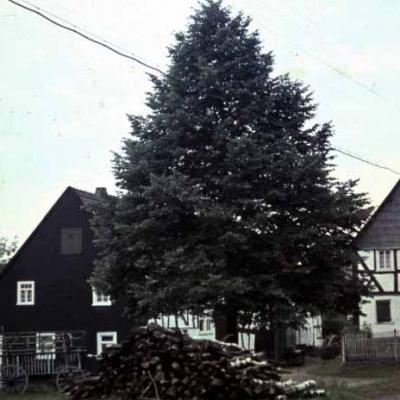 Db Nr 15b 1935 Dorfstrasse Sohn Fritz Bocking Adolf Meister Linde Schreiber Hermann Dommes 800x519 1
