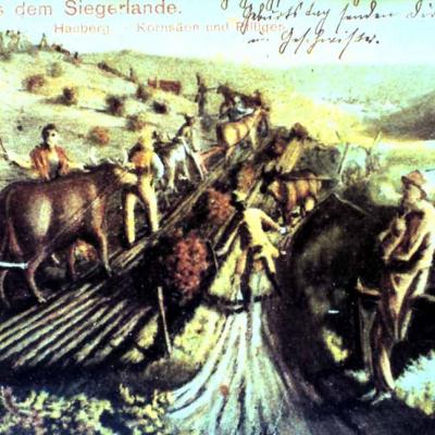 Postkarte Um 1900 7 Haubergswirtschaft