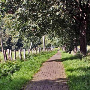Kalte Wiese Weg