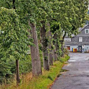 Lindenstrasse